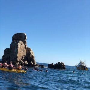 Meet your Posher, Ingrid